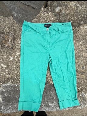 Larry Levine Teal-Green Capri Pants